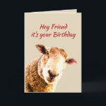 Friend Birthday Funny Sheep Animal Spaß Feiertagskarte<br><div class="desc">Friend Birthday Funny Sheep Animal Spaß lasse nach einigen Schafzüchtern suchen. Fun Pun Funny Sheep Animal Spaß für Ihren besten Freund</div>