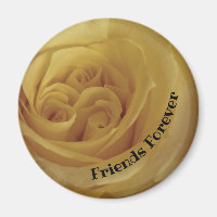 Friend Forever Freundschaft Gelbes Rose Foto Blume