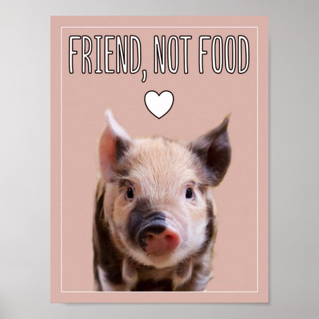 "Friend, not food" mit niedlichem Ferkel vegan Poster (Vorne)