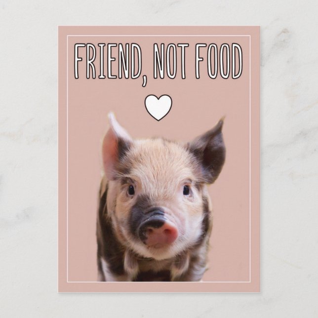 "Friend, not food" rosa mit niedlichem Ferkel vega Postkarte (Vorderseite)