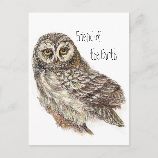 "Friend of the Earth", Earth Day Owl, Bird Postkarte (Vorderseite)