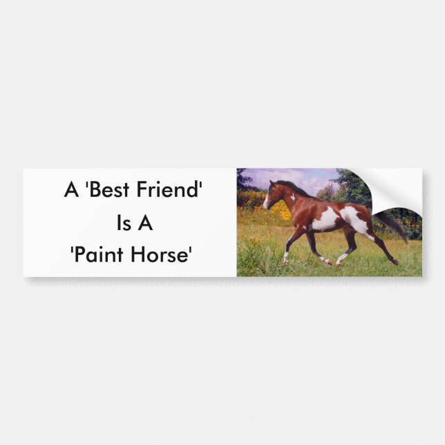 Friend Paint Horse Autoaufkleber (Vorne)