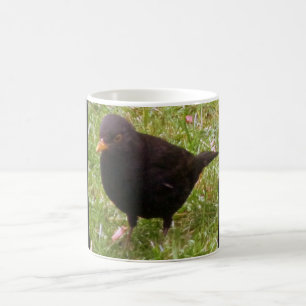 Friendly Blackbird Tasse