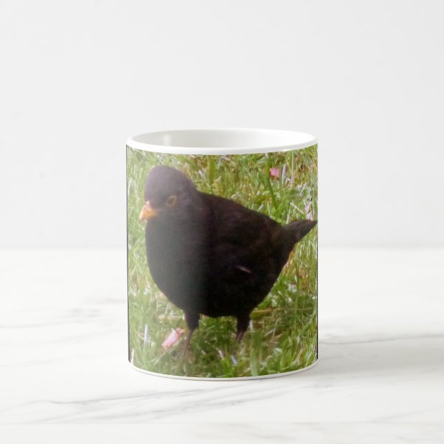 Friendly Blackbird Tasse (Mittel)