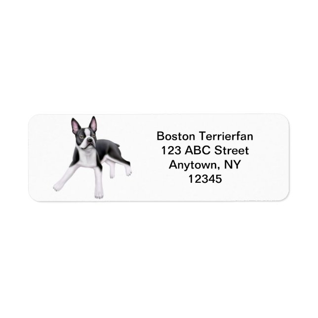Friendly Boston Terrier Customizable (Vorne)