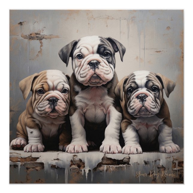 Friendly Bulldog Puppy Dogs 004 - Raimon Paladino Poster (Vorderseite)