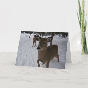friendly deer karte