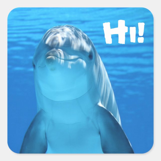 Friendly Dolphin Stickers (Vorderseite)