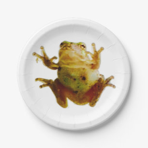 Friendly Frog 4 Frank Pappteller