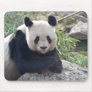Friendly Giant Panda Mousepad
