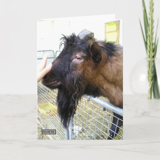 Friendly Goat Karte (Vorderseite)