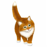 Friendly Orange Tabby Kitten Button Freistehende Fotoskulptur<br><div class="desc">Originelles,  feines Kunstdesign eines süß-orangefarbenen Kätzchens des Künstlers Carolyn McFann von Two Purring Cats Studio,  gedruckt auf einem hochwertigen Acryl-Button für Ingwer Katzenfans.</div>