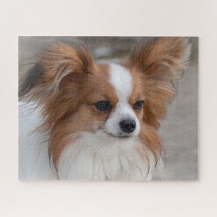 Friendly Papillon Puppy Dog Puzzle