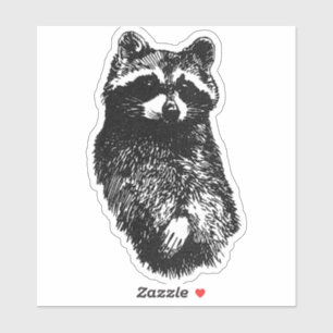 Friendly Raccoon Aufkleber