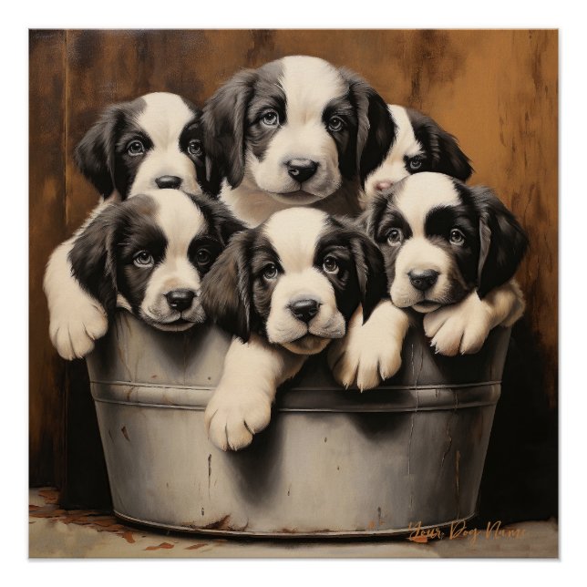 Friendly Saint Bernard Puppy Hunde 001 - Raimon Pa Poster (Vorderseite)