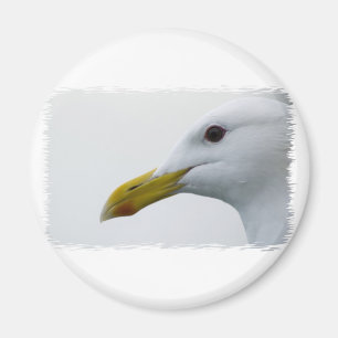 Friendly Seagull? Magnet