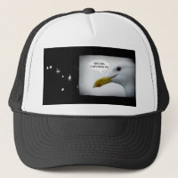 Friendly Seagull?