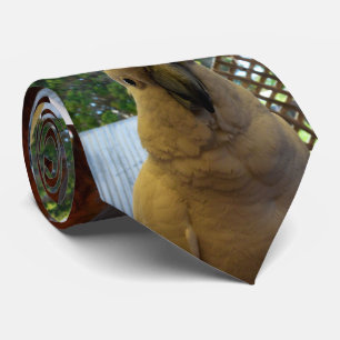 Friendly White Aussie Cockatoo, Neck Tie Krawatte