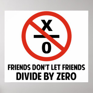 Friends Don't Divide by Zero Poster