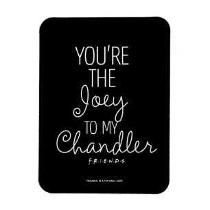 FRIENDS™ Du bist der Joey zu meinem Chandler Magnet