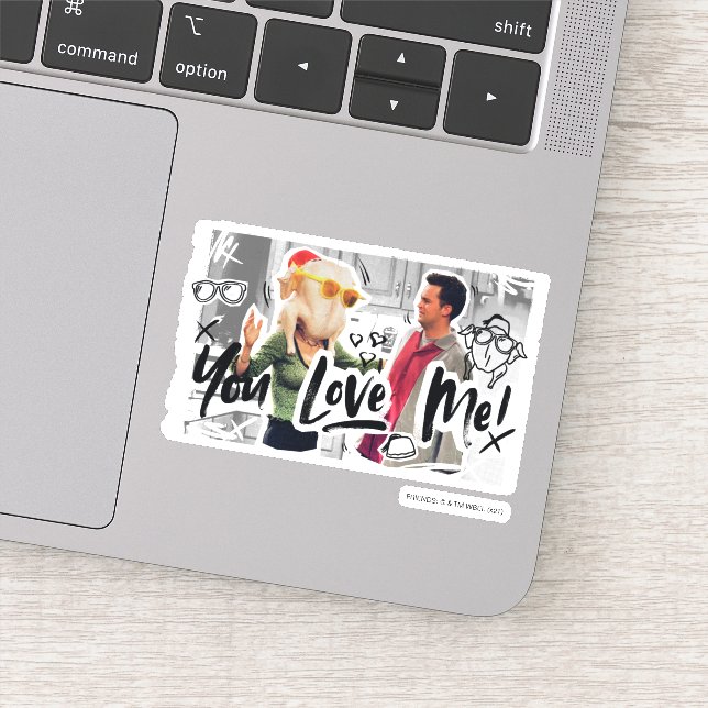 FRIENDS™ | Erntedank Türkei Leiter Monica Aufkleber (Detail)