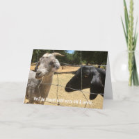 Friends Forever Albern Card