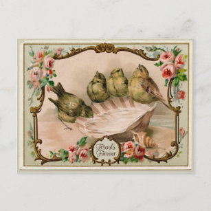 Friends Forever Bird Vintag Reproduction Postcard Postkarte