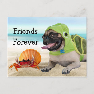 Friends Forever: Crab + Turtle Pug Postkarte