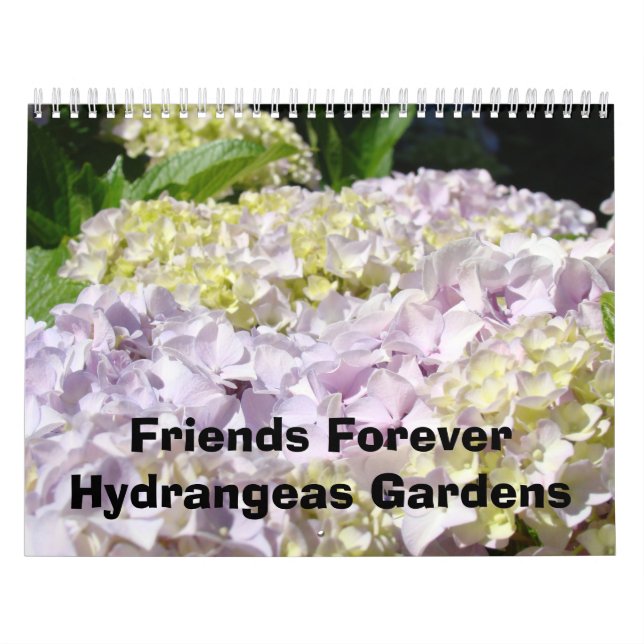 Friends Forever Hydrangea Gardens Kalender (Titelbild)