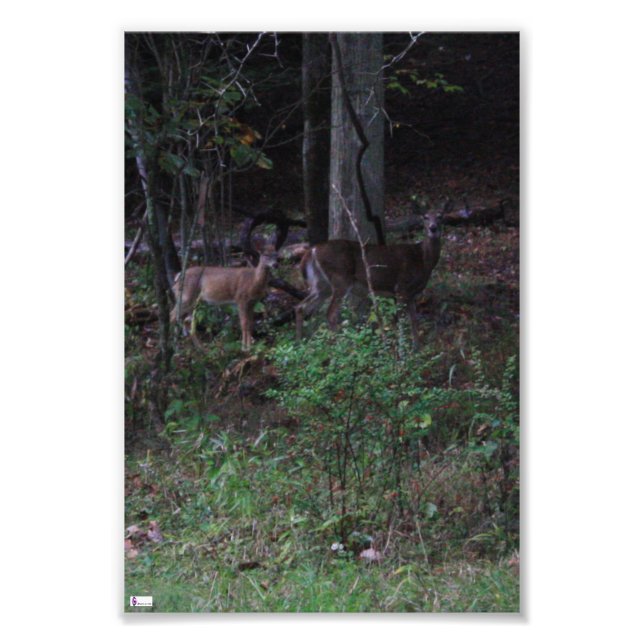 Friends Foto Print (Vorne)