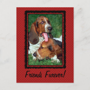 Friends Furever [Forever] Postkarte
