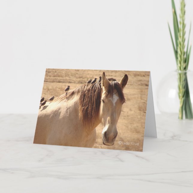 Friends ©Linda Scott Karte (Vorderseite)