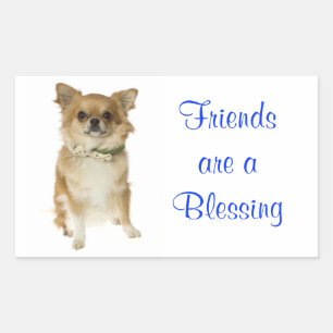 Friends Long Hairs Chihuahua Grußsticker Rechteckiger Aufkleber
