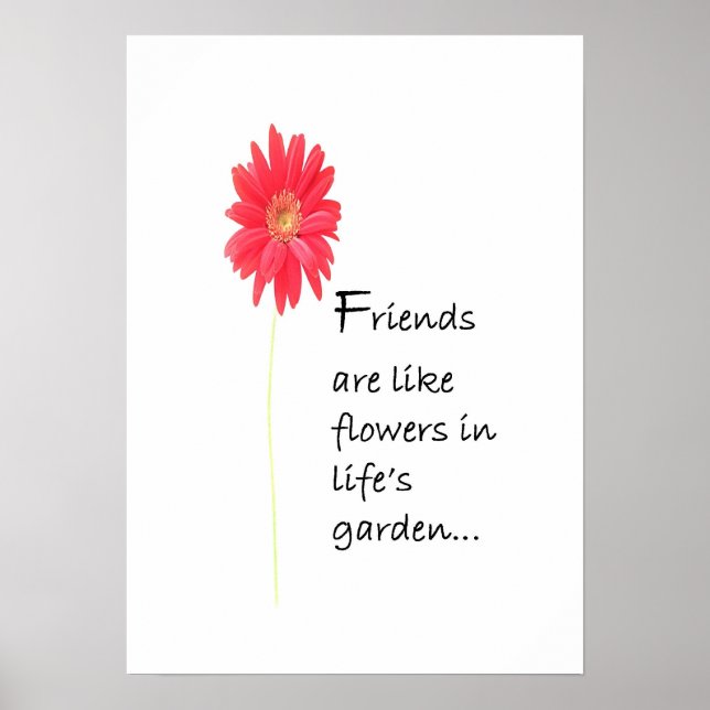 Friends Poster (Vorne)