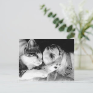 "Friends" preisgekrönte Chihuahua- und Katzenmaler Postkarte