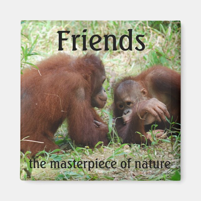 Friends Square Magnet (Vorne)