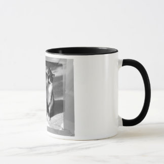 Friendship Above all Tasse