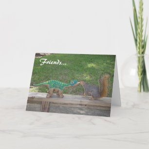 Friendship and nuts karte