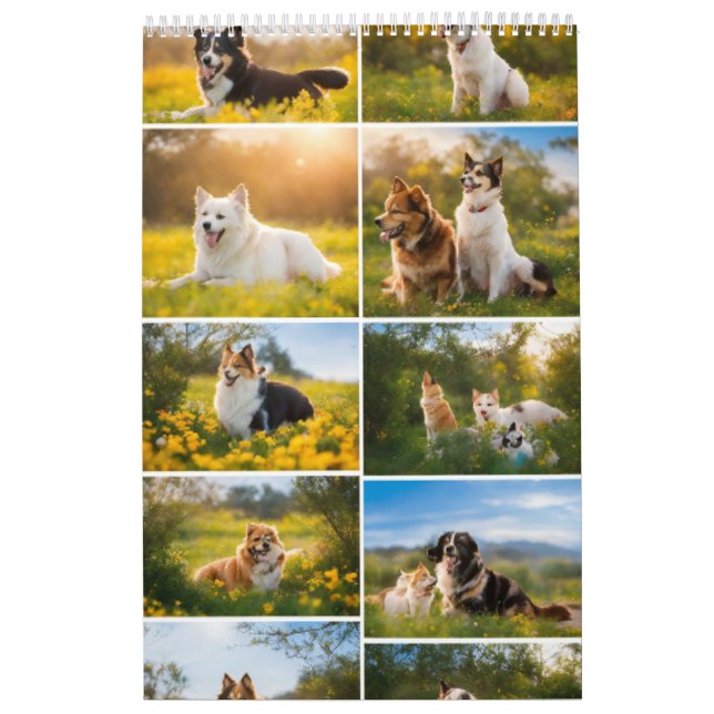 "Friendship Magic: Foto Calendar" Kalender (Titelbild)