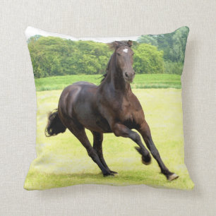 friesian-12.jpg kissen