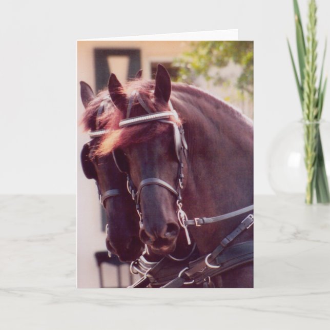 Friesian Carriage Horses Card Karte (Vorderseite)