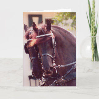 Friesian Carriage Horses Card Karte