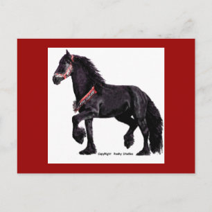 Friesian Dance Postcard #5 Postkarte