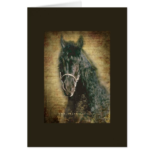 Friesian DIAMOND - Card, Gruß/Anmerkung (Vorne)