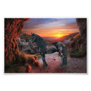 Friesian DIAMOND - Foto Print