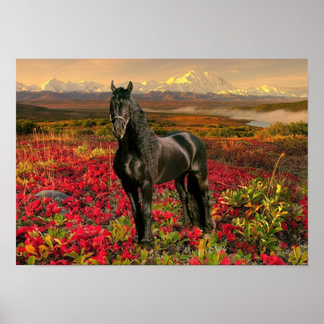 Friesian DIAMOND I - Poster (Vorne)