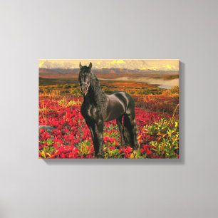 Friesian DIAMOND I - Wrapped Canvas Leinwanddruck