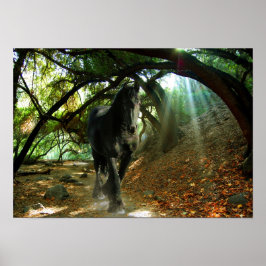 Friesian DIAMOND IV - Poster