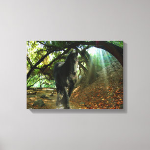 Friesian DIAMOND IV - Wrapped Canvas Leinwanddruck