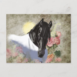 Friesian DIAMOND - Postcard Feiertagspostkarte